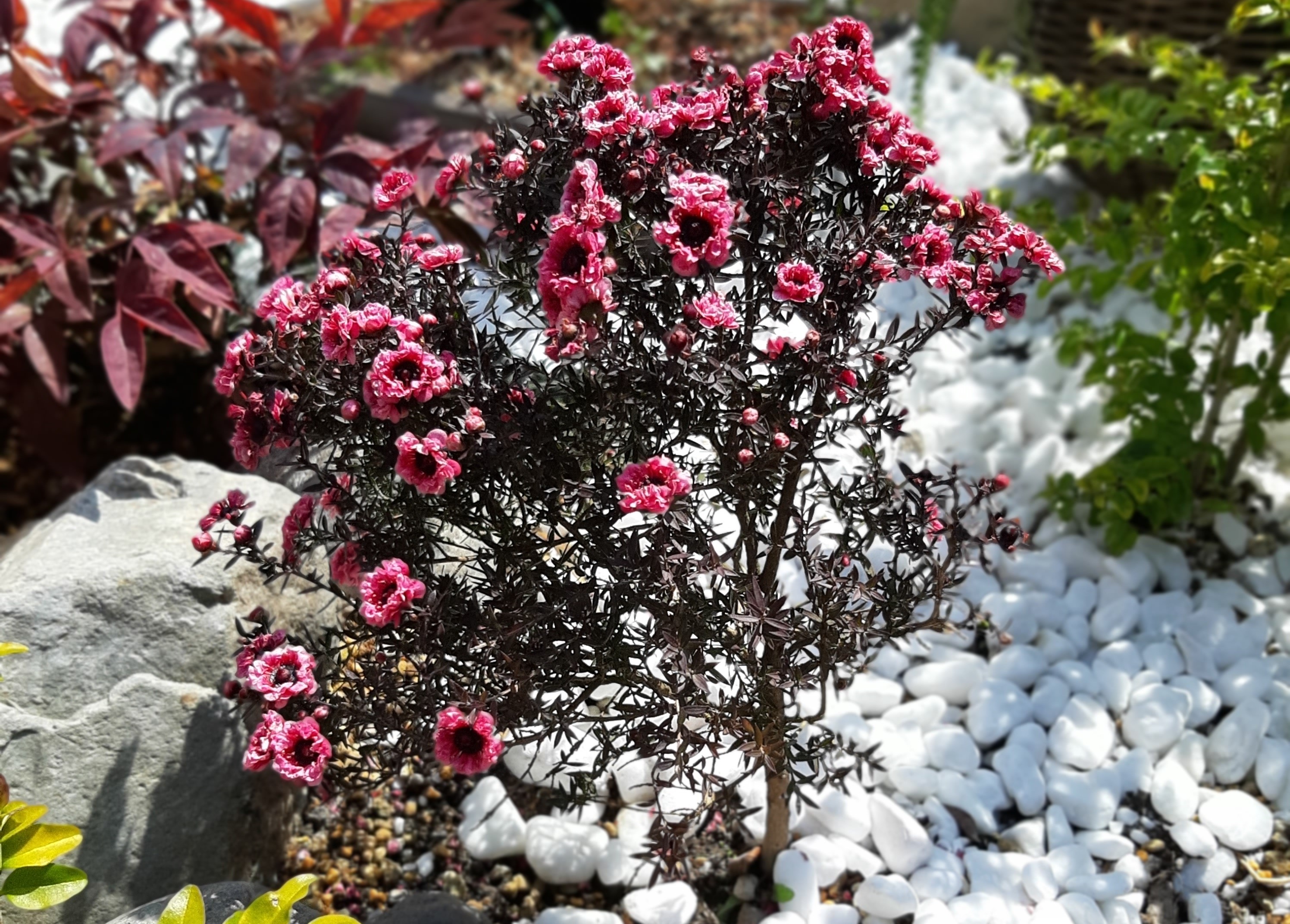 イベント報告‘２６年３月